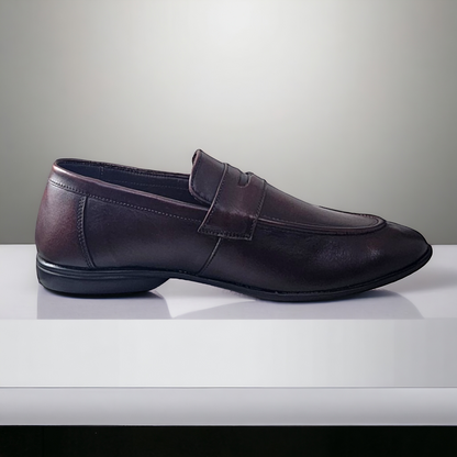 ZOOM S1441 BROWN Men's Loafers/Leather Shoes